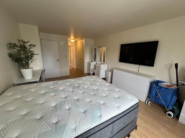 900 E Wilmette Rd Unit 411, Palatine, IL 60074 - bedroom with light wood-style floors