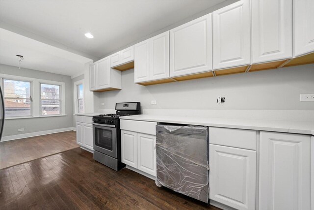 1009 N Harding Ave, Chicago, IL 60651 - photo 5