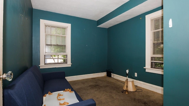 312 N Mclean St, Bloomington, IL 61701 - unfurnished room featuring carpet floors and baseboards