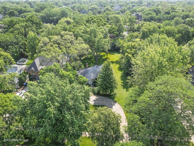 241 Coe Rd, Clarendon Hills, IL 60514 - photo 3