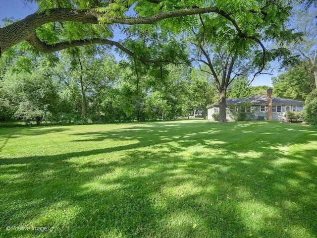 241 Coe Rd, Clarendon Hills, IL 60514 - photo 9