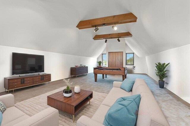 10 Shoreside Dr, South Barrington, IL 60010 - recreation room featuring track lighting and carpet floors