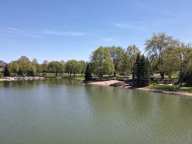 10 Shoreside Dr, South Barrington, IL 60010 - water view