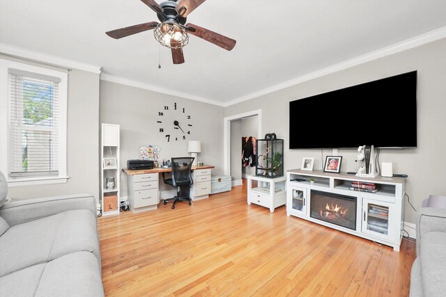 3115 N Marmora Ave, Chicago, IL 60634 - living room featuring an office area, crown molding, light wood finished floors, and ceiling fan
