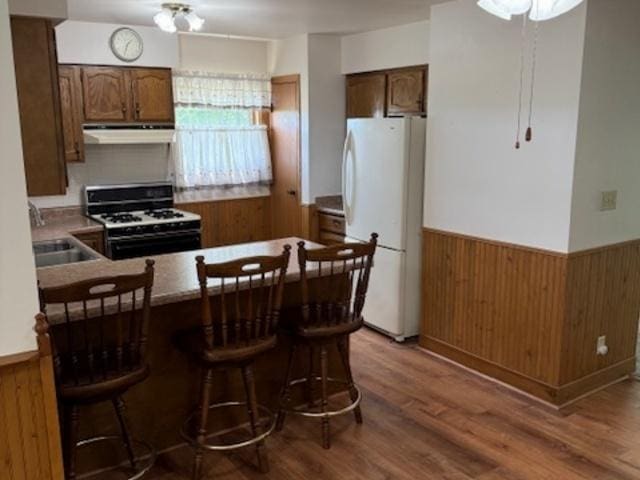 12238 Lisbon Rd, Newark, IL 60541 - kitchen with white appliances, under cabinet range hood, wainscoting, a peninsula, and wood finished floors