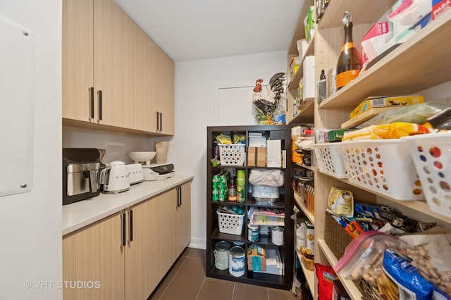 3700 Capri Ct Unit 607, Glenview, IL 60025 - view of storage area