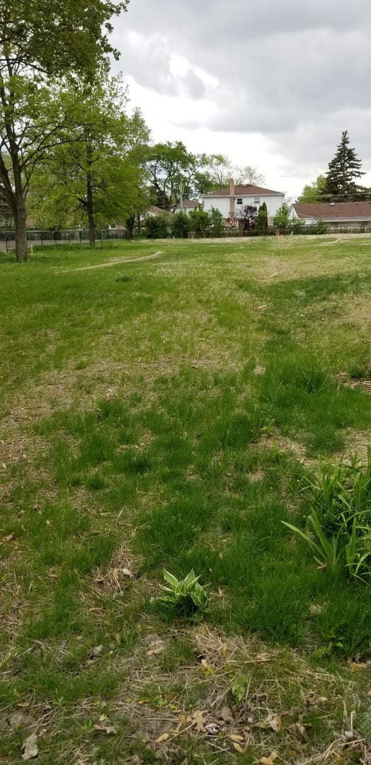 6727 Beckwith Rd, Morton Grove, IL 60053