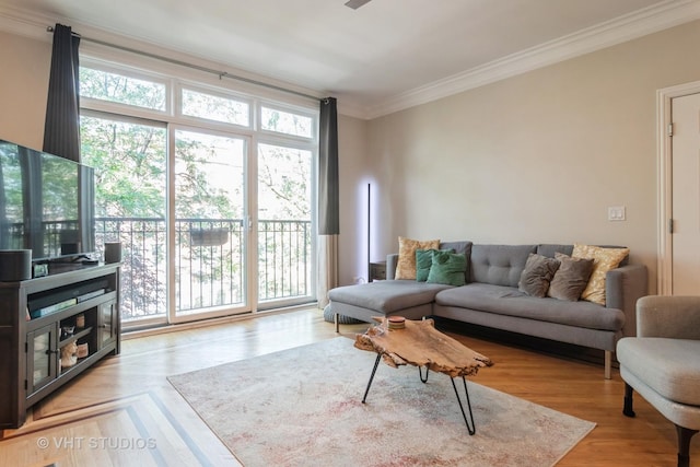 4933 N Winthrop Ave Unit 2S, Chicago, IL 60640 - living area with crown molding