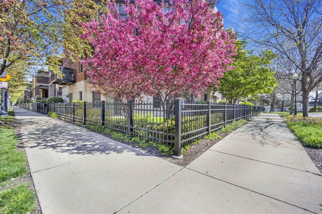 1033 W 14th Pl Unit 337, Chicago, IL 60608 - view of home's community