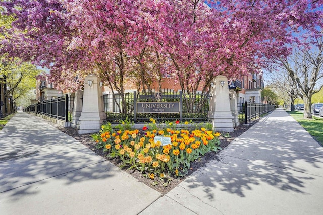 1033 W 14th Pl Unit 337, Chicago, IL 60608 - view of home's community
