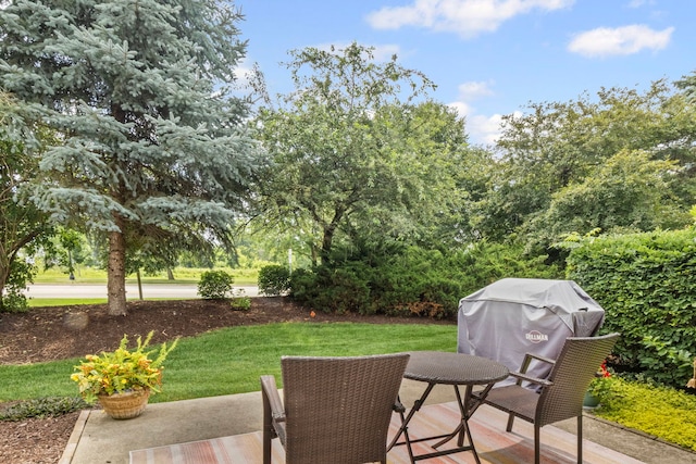 3733 King George Ln, Saint Charles, IL 60174 - photo 28