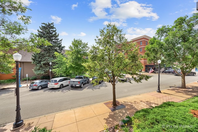 930 Curtiss St Unit 104, Downers Grove, IL 60515 - view of uncovered parking lot