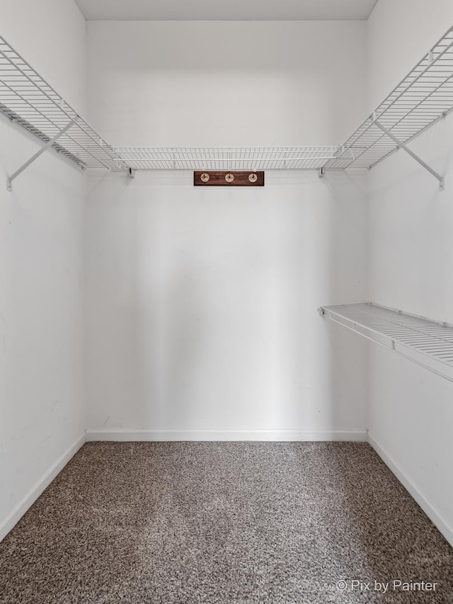 930 Curtiss St Unit 104, Downers Grove, IL 60515 - spacious closet featuring carpet flooring