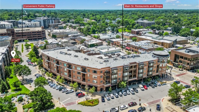 930 Curtiss St Unit 104, Downers Grove, IL 60515 - aerial view of apartment complex