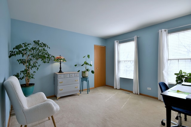 2146 Prairie Trl, Round Lake Heights, IL 60073 - home office with baseboards and light colored carpet