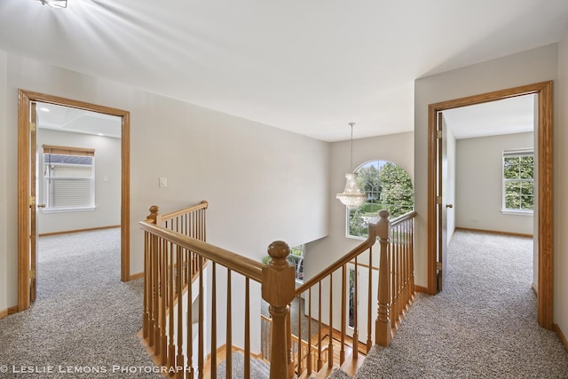 13141 S Cinnamon Cir, Plainfield, IL 60585 - photo 21