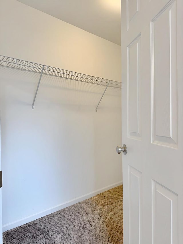 1214 Eric Ln, Lake Zurich, IL 60047 - spacious closet with light carpet