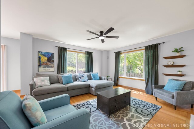 908 Pimpernel Ct, Naperville, IL 60540 - living area with healthy amount of natural light, ceiling fan, and light wood-style floors