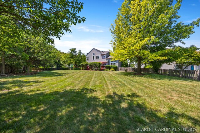 908 Pimpernel Ct, Naperville, IL 60540 - view of yard
