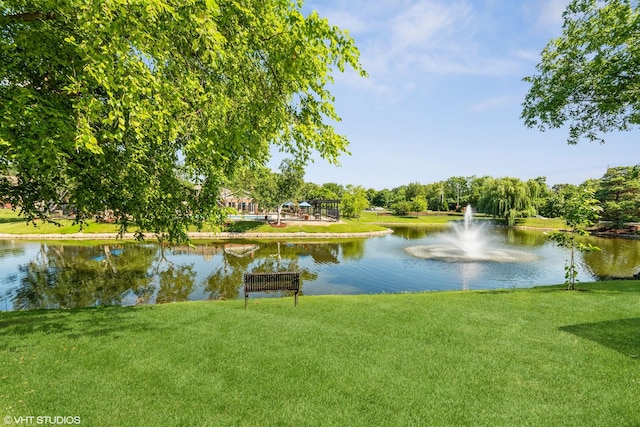 1505 Raymond Dr Unit 103, Naperville, IL 60563 - water view