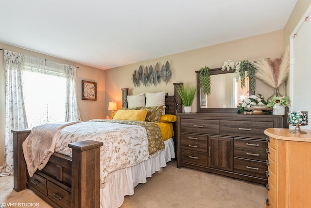 1505 Raymond Dr Unit 103, Naperville, IL 60563 - bedroom featuring light colored carpet