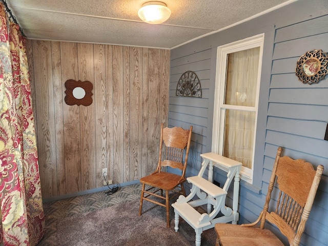 711 Avenue E Ave E, Sterling, IL 61081 - sitting room featuring wooden walls, carpet flooring, and a textured ceiling