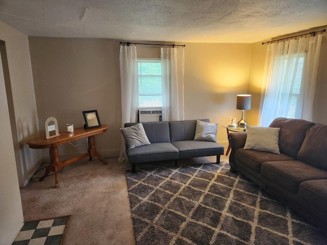 711 Avenue E Ave E, Sterling, IL 61081 - living area featuring cooling unit, carpet floors, and a textured ceiling