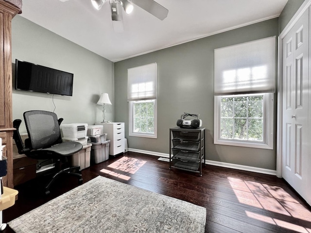 14011 Creek Crossing Dr, Orland Park, IL 60467 - office space featuring ceiling fan and dark wood-style floors