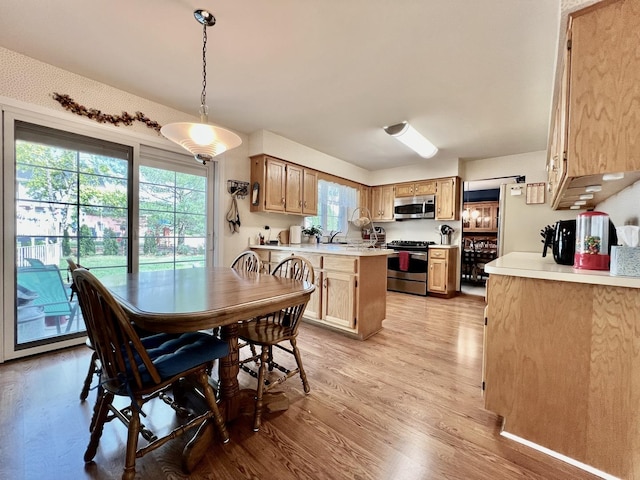 14011 Creek Crossing Dr, Orland Park, IL 60467 - dining space with light wood finished floors