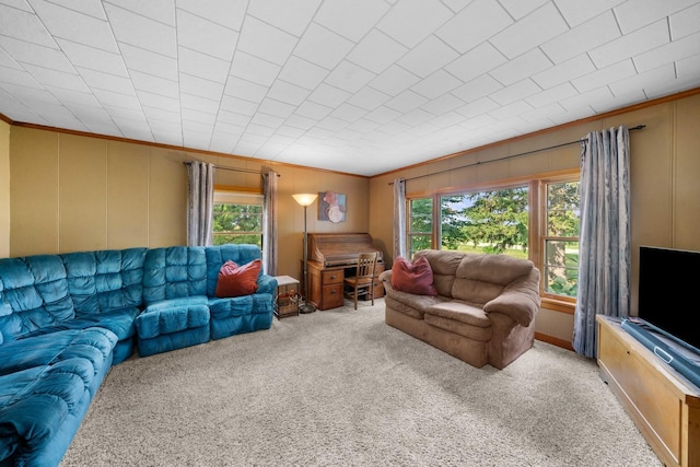 11203 Hinckley Rd, Hinckley, IL 60520 - photo 16