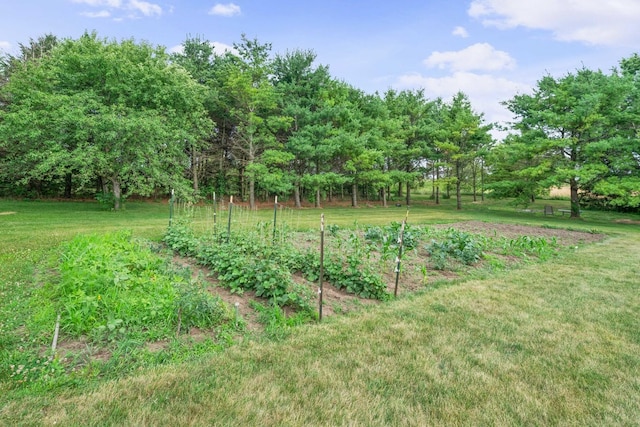 11203 Hinckley Rd, Hinckley, IL 60520 - photo 55
