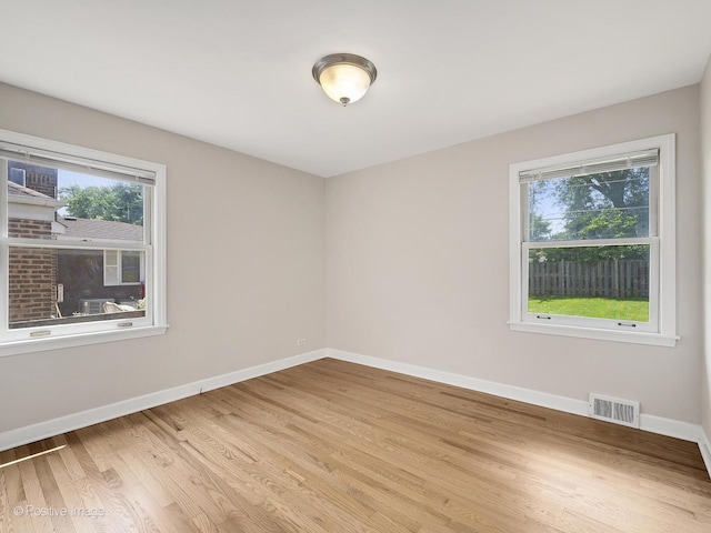 610 S Madison Ave, La Grange, IL 60525 - empty room featuring plenty of natural light and light wood-type flooring