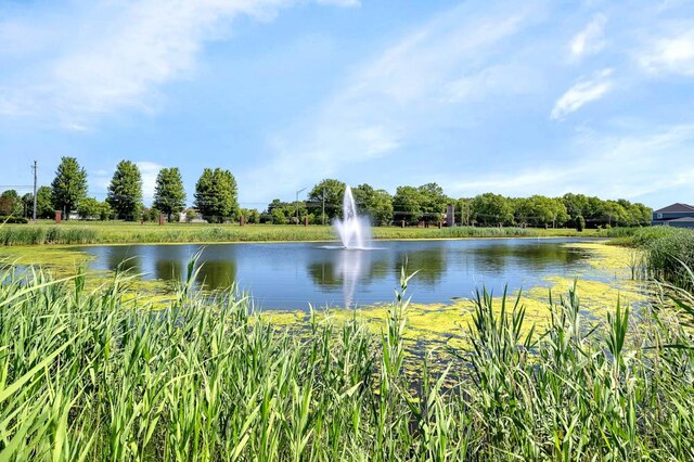13743 S Sanibel St, Plainfield, IL 60544 - water view