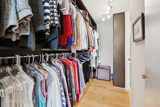 1110 N Lake Shore Dr Unit 20N, Chicago, IL 60611 - spacious closet featuring wood finished floors