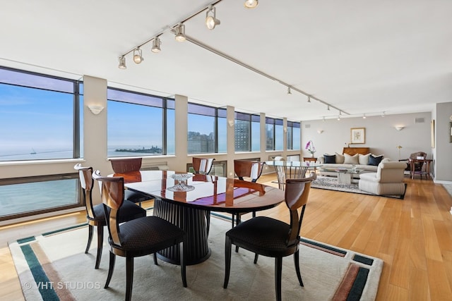 1110 N Lake Shore Dr Unit 20N, Chicago, IL 60611 - dining room featuring rail lighting and light wood-style floors