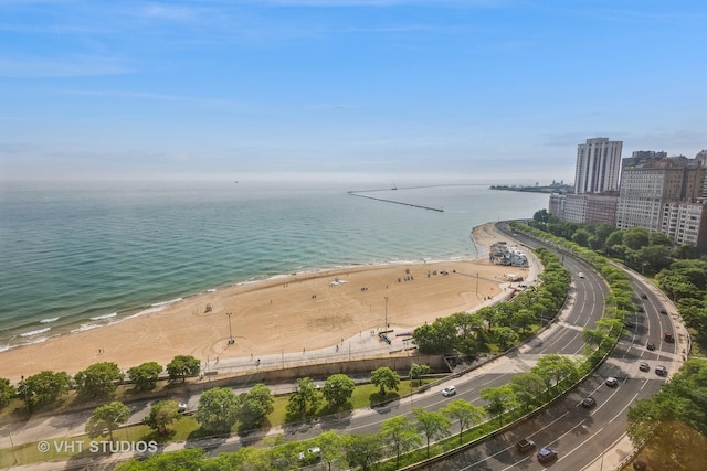 1110 N Lake Shore Dr Unit 20N, Chicago, IL 60611 - water view featuring local beach