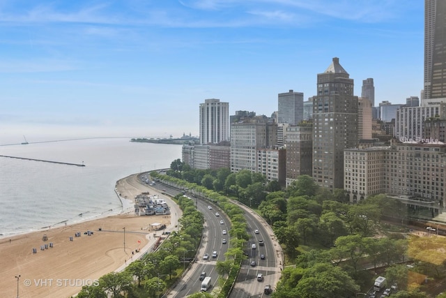 1110 N Lake Shore Dr Unit 20N, Chicago, IL 60611 - skyline view featuring a nearby body of water