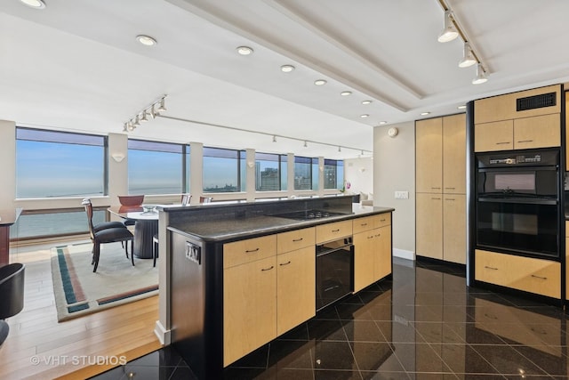 1110 N Lake Shore Dr Unit 20N, Chicago, IL 60611 - kitchen featuring rail lighting, light brown cabinets, recessed lighting, granite floors, and black appliances