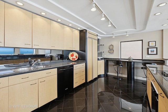 1110 N Lake Shore Dr Unit 20N, Chicago, IL 60611 - kitchen with dishwasher, a tray ceiling, light brown cabinets, recessed lighting, and granite floors