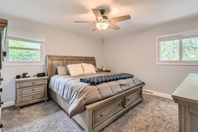 1322 E Thurston Dr, Palatine, IL 60074 - bedroom with light colored carpet, multiple windows, and a ceiling fan