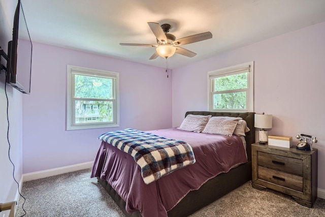 1322 E Thurston Dr, Palatine, IL 60074 - bedroom with multiple windows, carpet floors, and ceiling fan