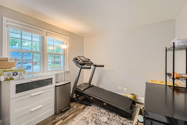 1322 E Thurston Dr, Palatine, IL 60074 - exercise area featuring wood finished floors