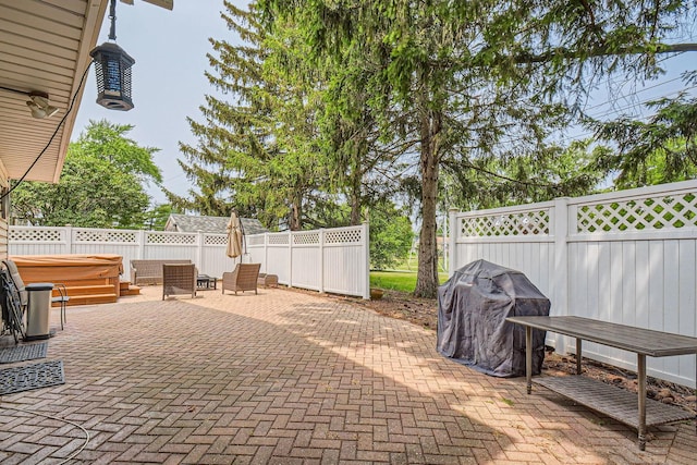 1322 E Thurston Dr, Palatine, IL 60074 - fenced backyard with a patio, a hot tub, and a grill