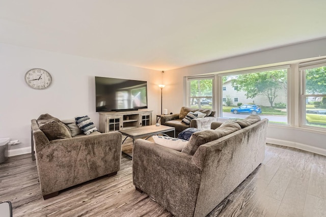 1322 E Thurston Dr, Palatine, IL 60074 - living area featuring wood finished floors and healthy amount of natural light