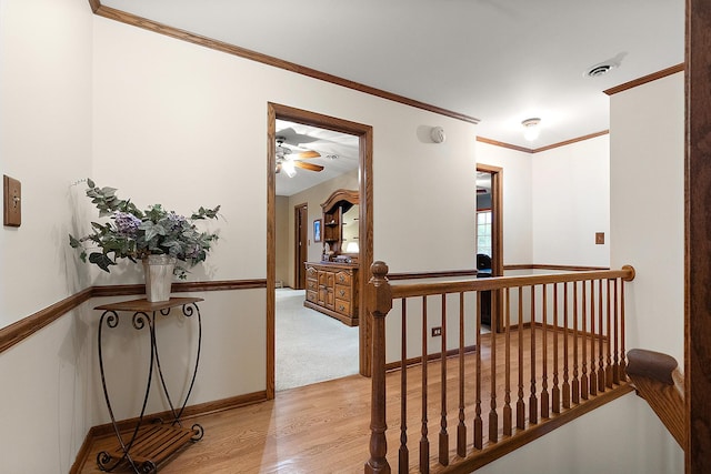 8257 Chertsey Ct, Orland Park, IL 60462 - photo 29