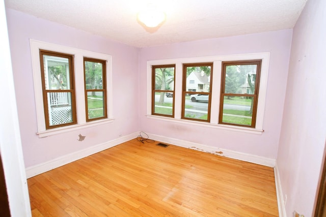 314 N Maple St, Itasca, IL 60143 - unfurnished room featuring healthy amount of natural light, light wood-style flooring, and a textured ceiling