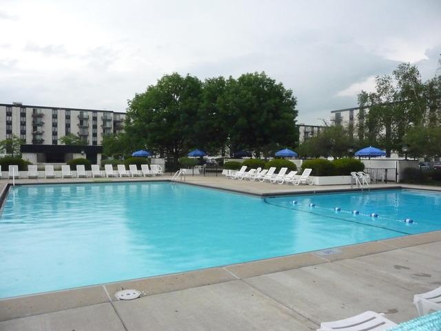 9098 Terrace Dr Unit 3E, Niles, IL 60714 - community pool featuring a patio