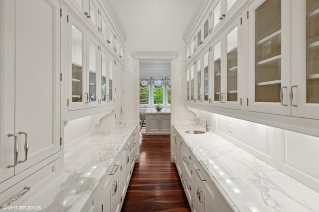 78 Wagner Rd, Northfield, IL 60093 - bar featuring a sink and dark wood-style floors