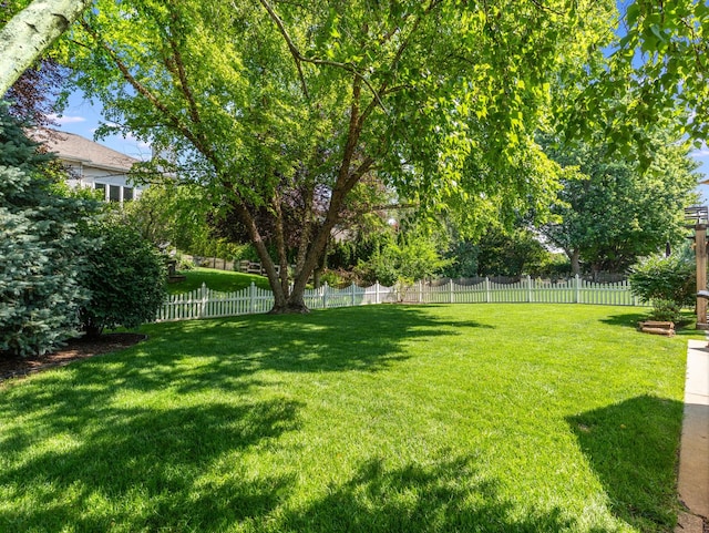 15158 Eyre Cir, Plainfield, IL 60544 - photo 34