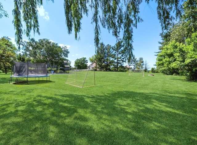 1551 Daybreak Dr, Libertyville, IL 60048 - view of yard featuring an area for soccer and a trampoline